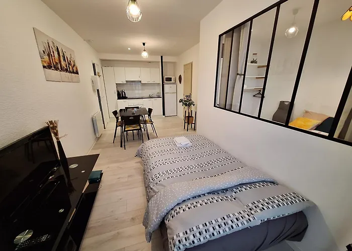 Apartment Joli T2 Renove Bord Plan D'eau *