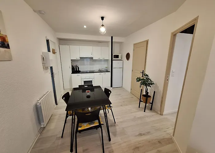 Joli T2 Renove Bord Plan D'eau Apartment Saint-Jean-dʼAngély