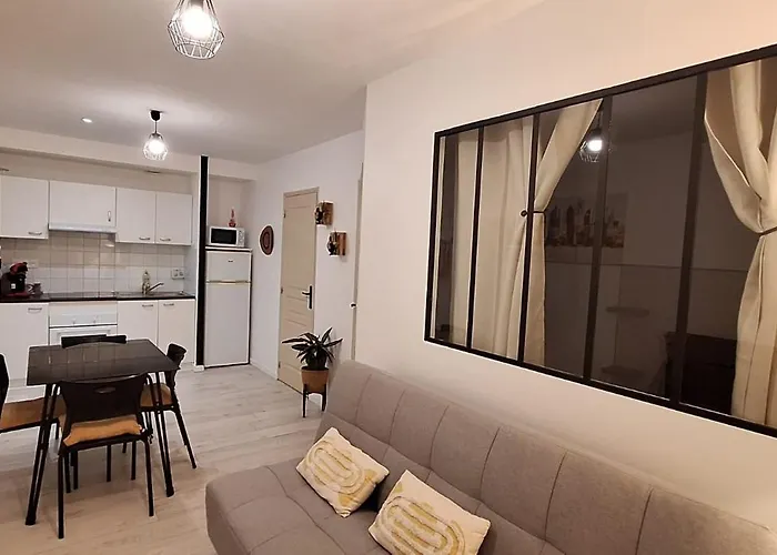 Apartment Joli T2 Renove Bord Plan D'eau